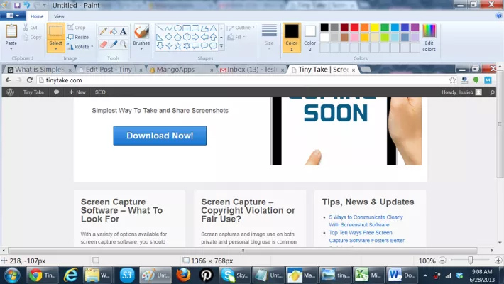 Tiny Take vs. Windows Screen Capture